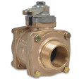 2" Generation II Swing-Out Valve (Body Only) with polymer ball