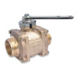 2" Generation II Swing-Out Valve (Body Only) with stainless ball